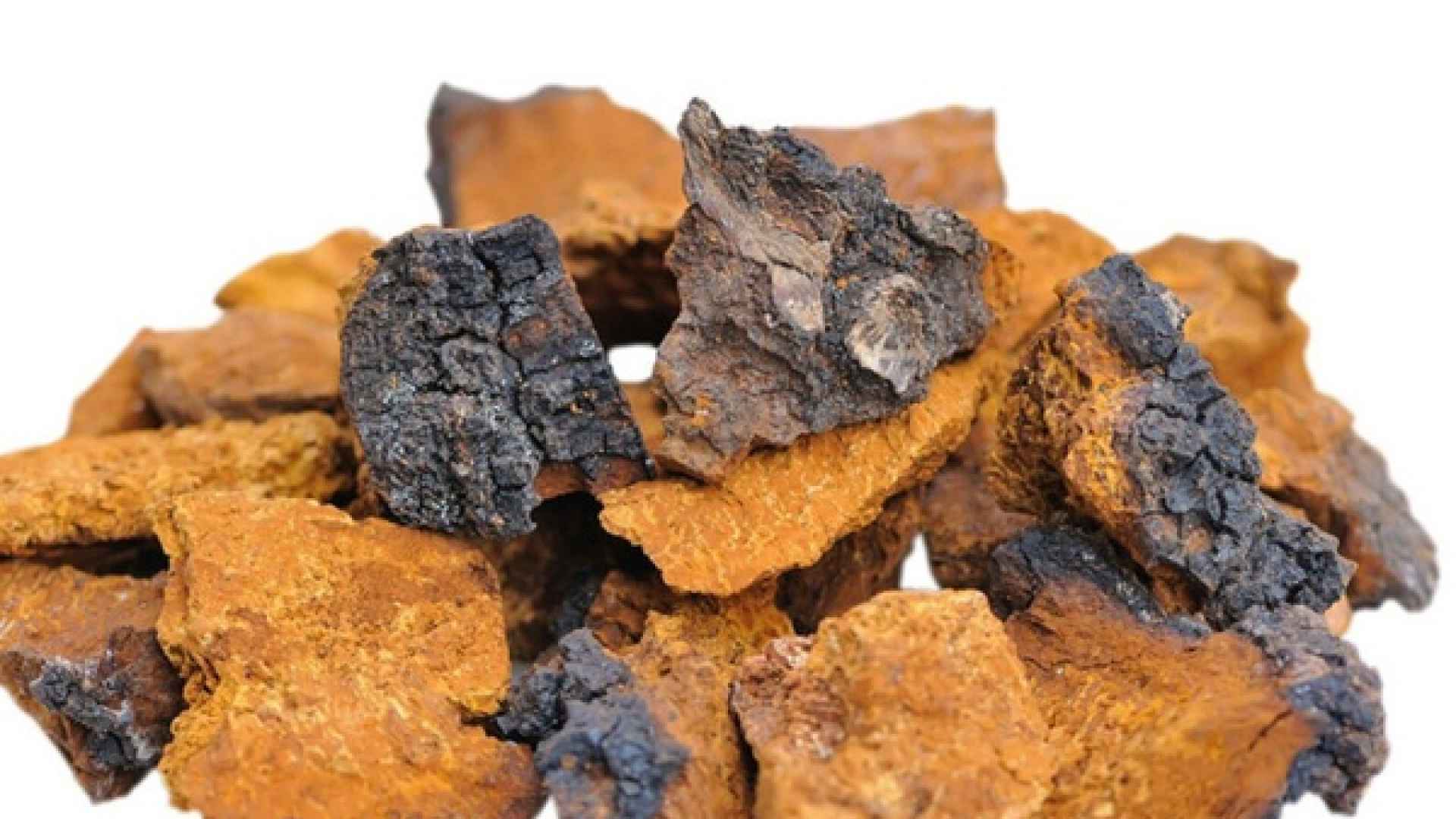 ГРИБ ЧАГА БЕРЕЗОВАЯ КУСКОВАЯ 5-20 СМ