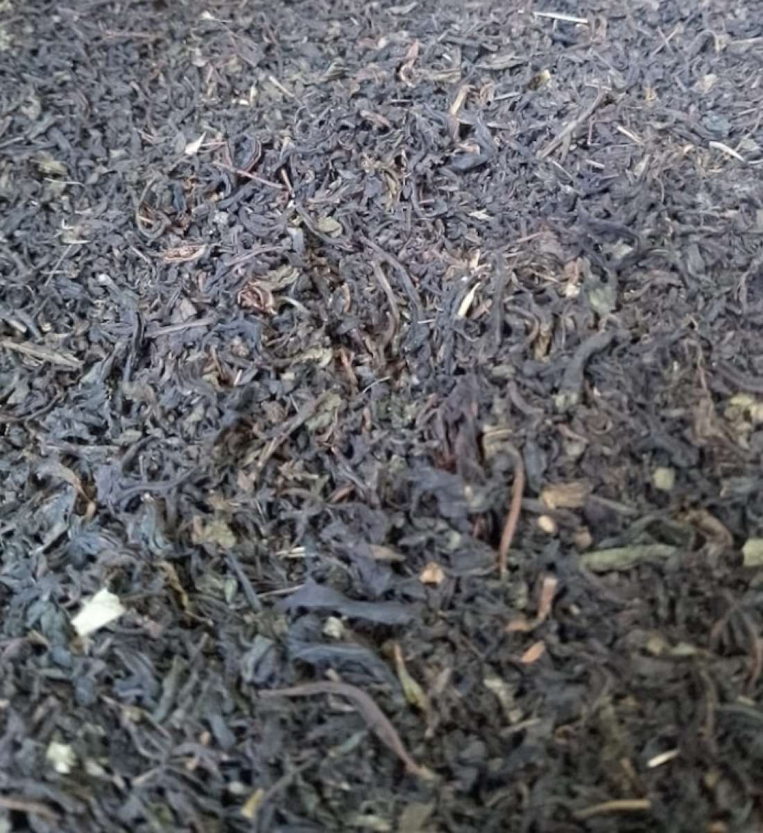 Иван чай листовой мелкий