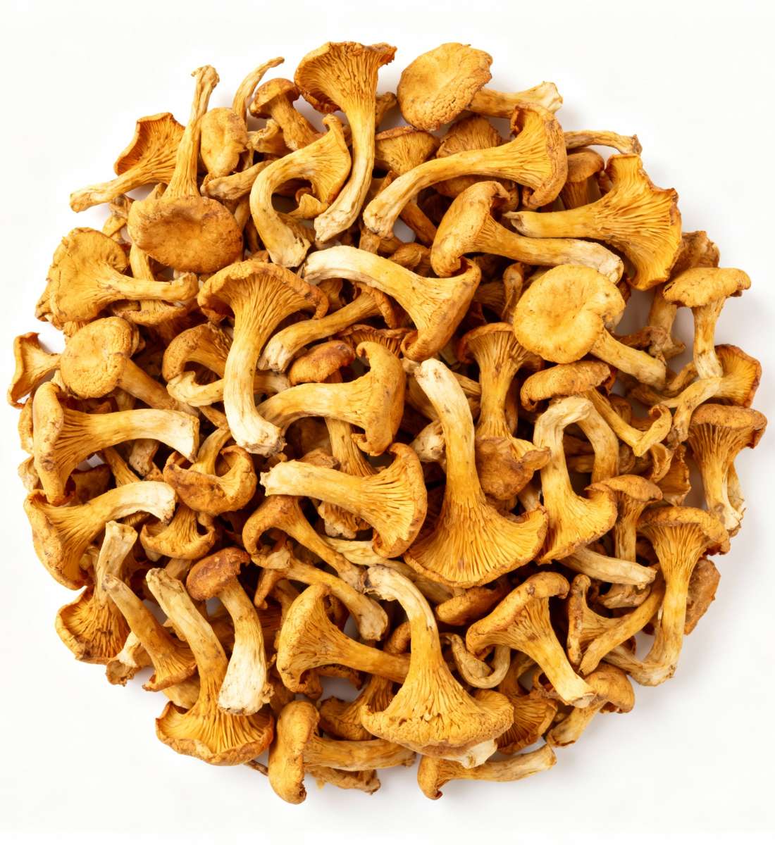 Сушеные лисички