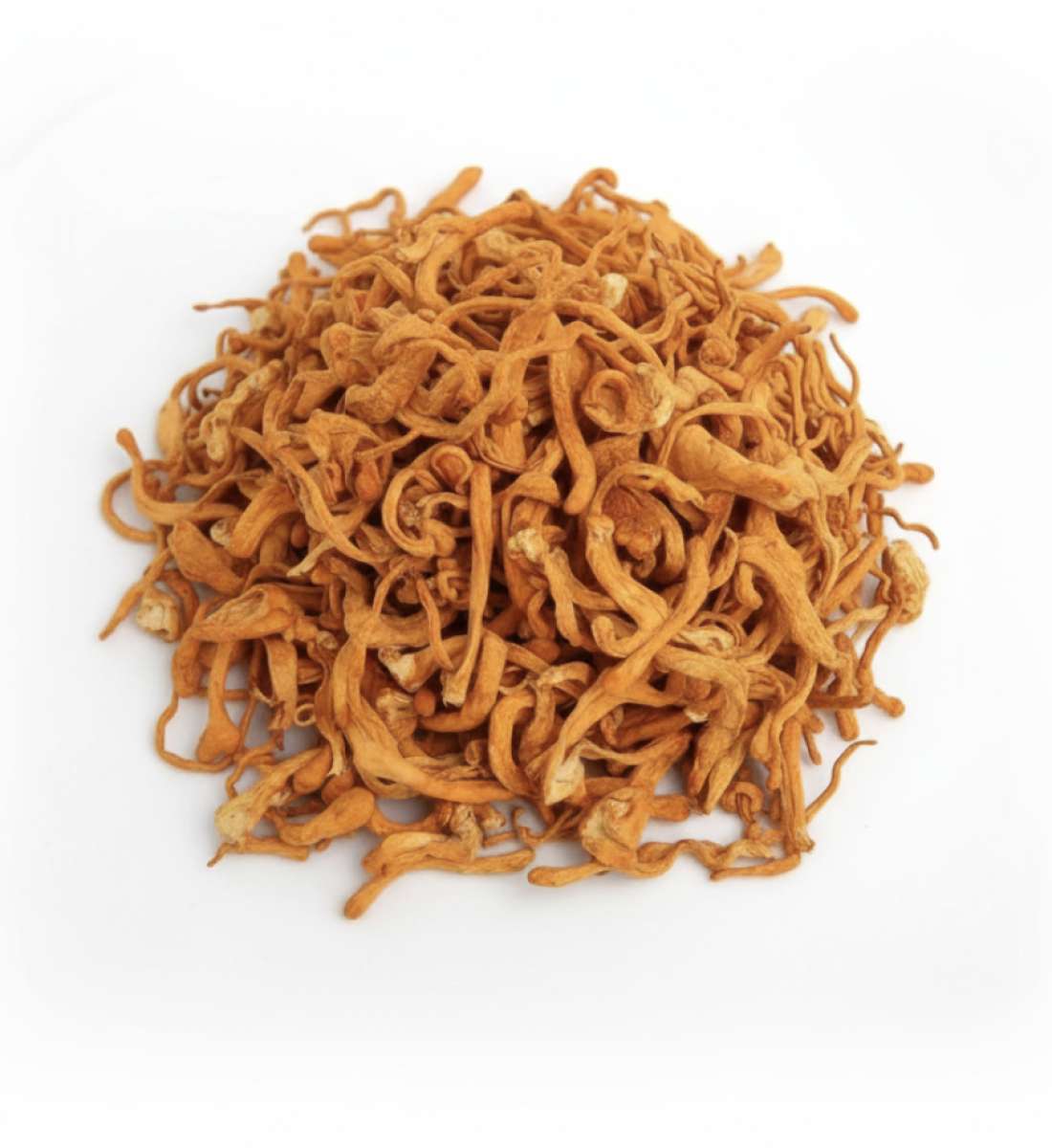 Сушеный кордицепс