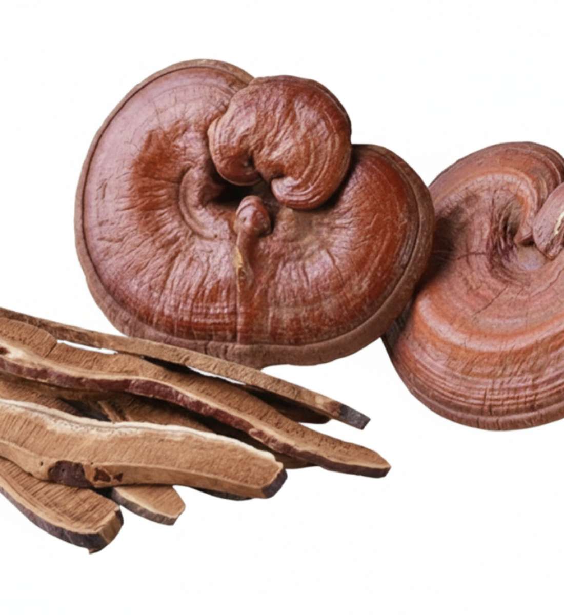 Сушеный рейши