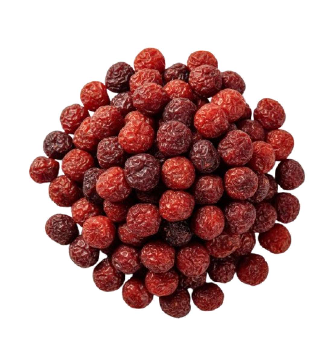 Рябина красная