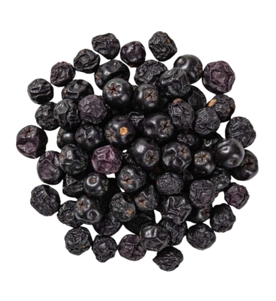 Черноплодная рябина