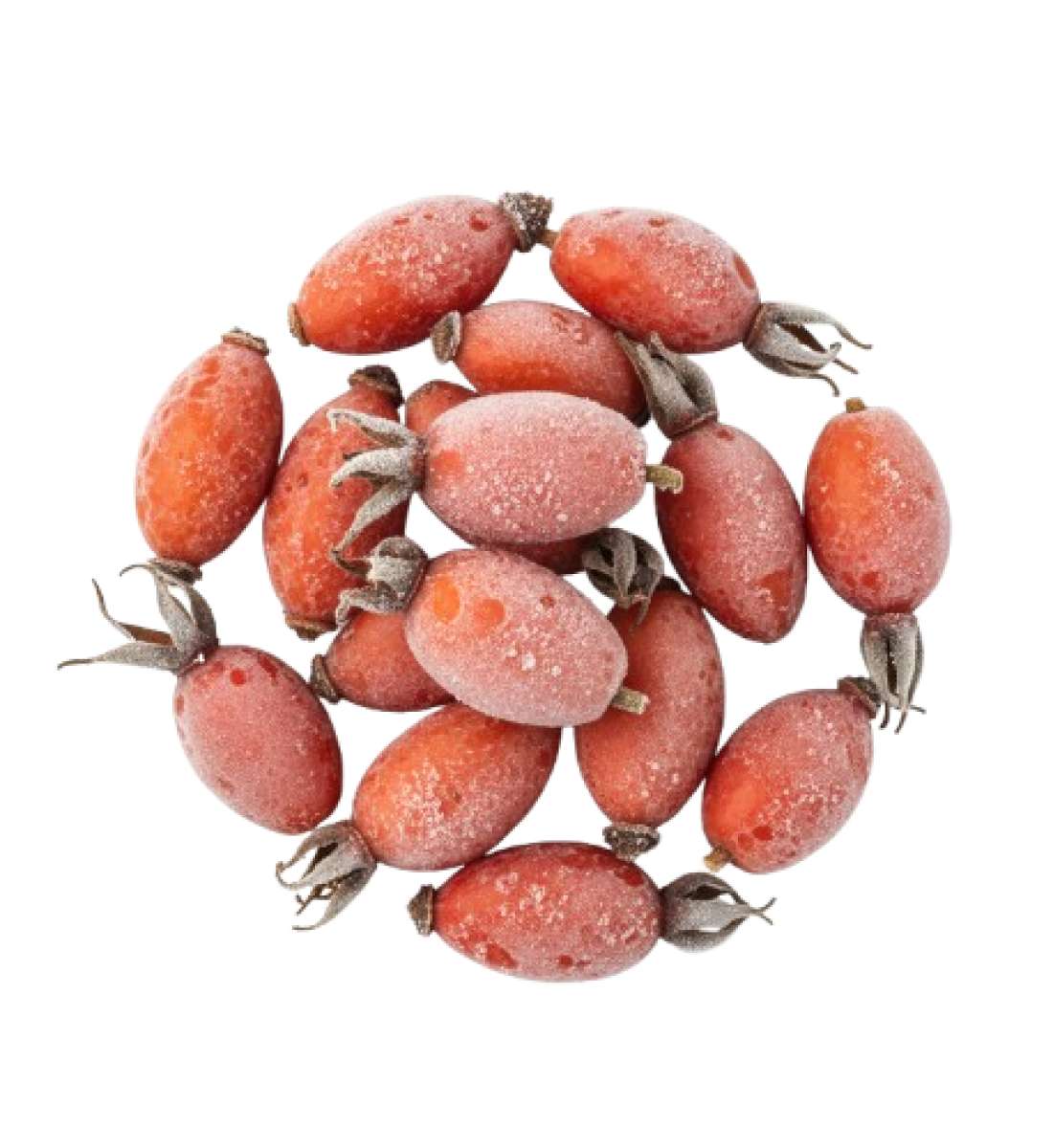 Шиповник замороженнный