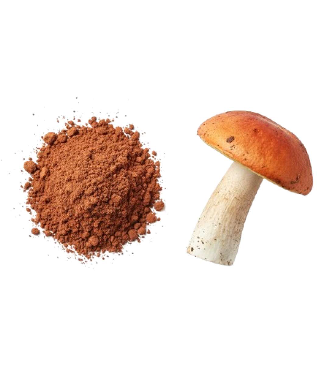 Подосиновик